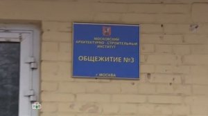 Возвращение Мухтара 2. Гостинцы для племянника