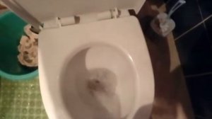 ЧТО БУДЕТ ЕСЛИ СМЫТЬ В УНИТАЗ..... ??!!