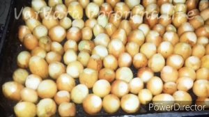 Как вырастить зелень за 15 дней  на подоконнике  #своимируками #кновомугоду #зимой #зеленыйлук #лук