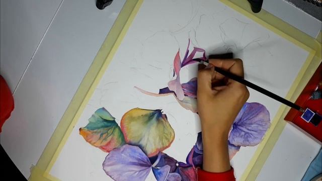 Speedpaint watercolor flowers / Акварель Гортензия смотреть онлайн