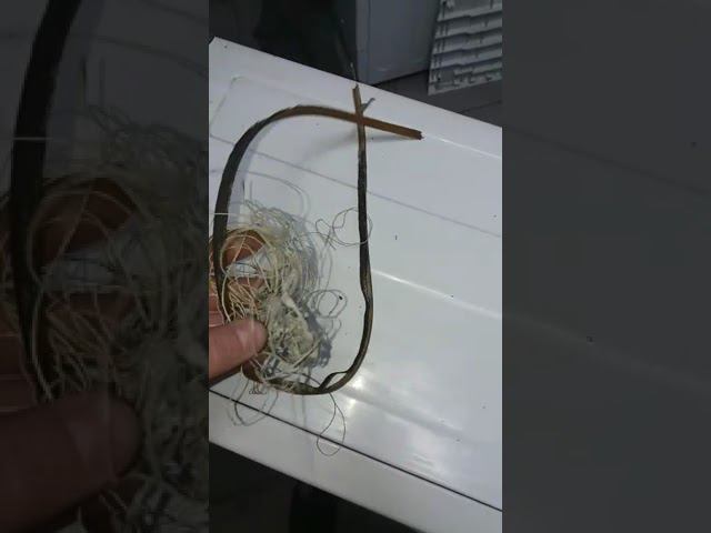 случай с ремнём СМА САМСУНГ смотреть онлайн