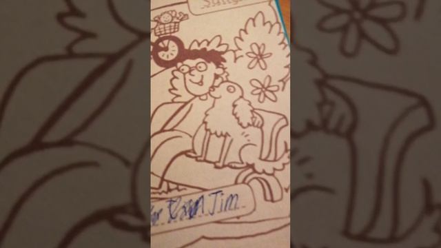 Кастом раскраски