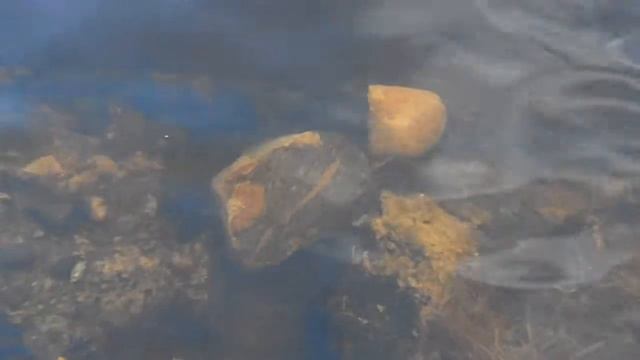 Neva river 10.11.2013 Нева - Сокровище!Clear water смотреть онлайн