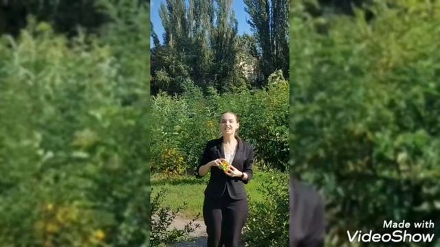 Математическая игра "Рыцари против пиратов" смотреть онлайн