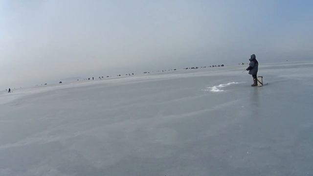 ВЛАДИВОСТОК. РЫБАЛКА НА ЗУБАРЯ И НАВАГУ. МОРСКИЕ ЗВЕЗДЫ НА ЛЬДУ. АМУРСКИЙ ЗАЛИВ. ЧАЙКА. ЯНВАРЬ 2023 смотреть онлайн
