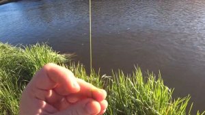 Удачная Вечерняя Рыбалка!Река Самара!