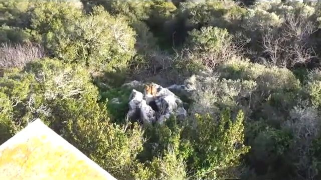 Yokneam_MarkLarisa_visit1 смотреть онлайн