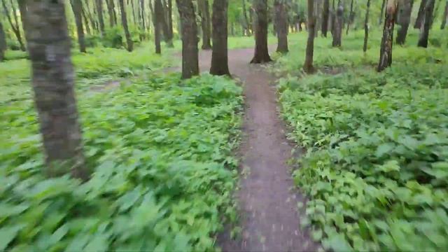 Offroad на моноколесе Kingsong KS18XL V2 смотреть онлайн