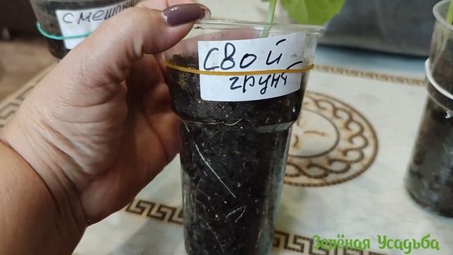 Эксперимент или тестирование грунта смотреть онлайн