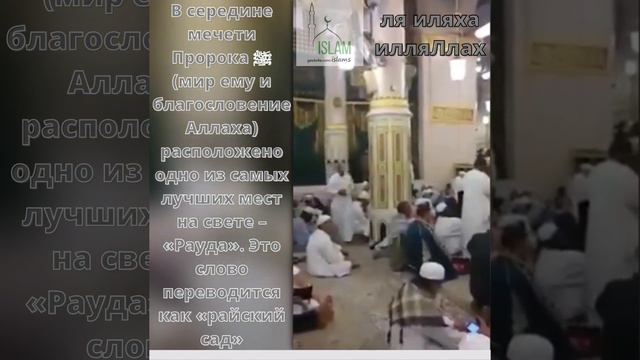 Райский сад. Дом пророка Мухаммада ﷺ мир ему и благословение Аллаха, мечеть в Саудии. смотреть онлайн