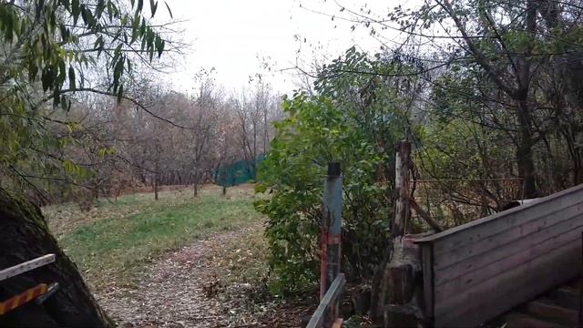 29 10 2017 заплыв в москва реке Бондаренко Андрея и Натальи Серой вода +3 смотреть онлайн