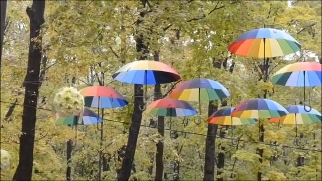 Фельдман Экопарк. Бесплатный Зоопарк в Харькове. Видеопрогулка смотреть онлайн