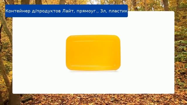 Контейнер д/продуктов Лайт, прямоуг., 3л, пластик смотреть онлайн