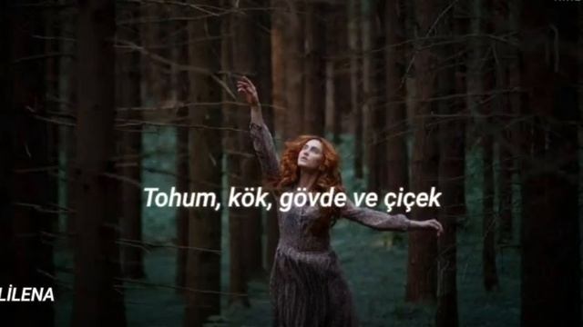 Danit - Tierra | Türkçe Çeviri