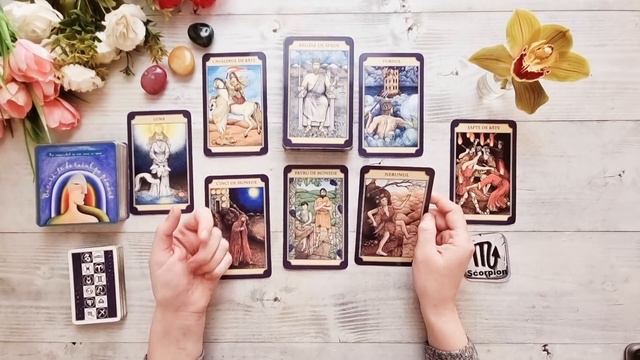 𝗦𝗖𝗢𝗥𝗣𝗜𝗢𝗡♏𝗘 𝗺𝗼𝗺𝗲𝗻𝘁𝘂𝗹 𝘁𝗮̆𝘂! 𝗔𝗰𝘂𝗺 𝗼𝗿𝗶 𝗻𝗶𝗰𝗶𝗼𝗱𝗮𝘁𝗮̆! 𝟭𝟰-𝟮𝟬 𝗠𝗔𝗥𝗧𝗜𝗘 (𝗔𝗰𝘁𝗶𝘃𝗲𝗮𝘇𝗮̆ 𝗦𝘂𝗯𝘁𝗶𝘁𝗿𝗮𝗿𝗲𝗮) смотреть онлайн