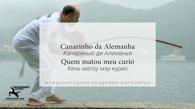 CANARINHO DA ALEMANHA (Quem matou meu curió) - Capoeira music | Capoeira song | Capoeira musica смотреть онлайн