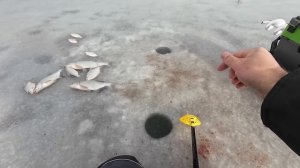 Ловля ЛЕЩА на Весёловском водохранилище!!!