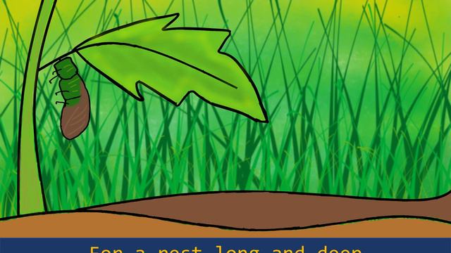 Life Cycle of a Butterfly | Circle of Life | Read Aloud Story for Children смотреть онлайн