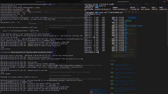 Recover deleted PostgreSQL config files using Docker image смотреть онлайн