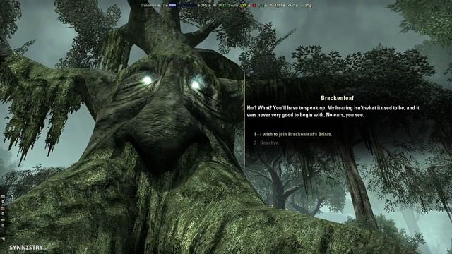 Bosmer Insight #41 - Aldmeri Dominion Quests ~ Elder Scrolls Online смотреть онлайн