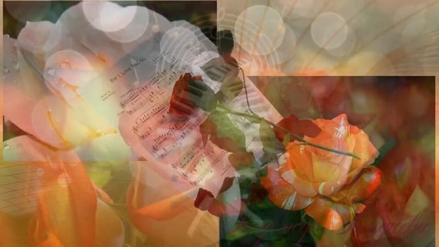 Любимые цветы розы . Розы,любимые цветы смотреть онлайн