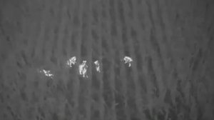 Квадрокоптер с Тепловизором