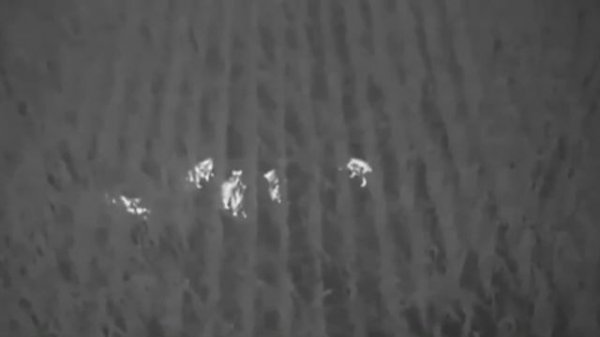 Квадрокоптер с Тепловизором