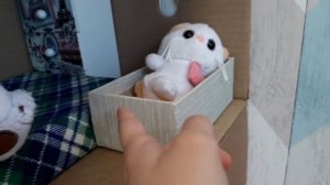 Обзор на дом Басиков