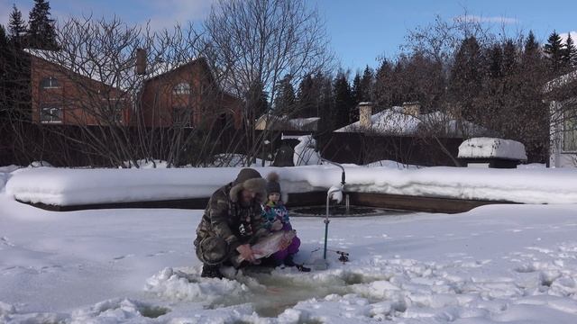 ГИГАНТСКАЯ ФОРЕЛЬ В СВОЁМ ПРУДУ! РЫБАЛКА С ДОЧКОЙ! РЫБА НА ГРИЛЕ С ЖЖЁНЫМ ПЕРЦЕМ! БАСЯЦСКАЯ КУХНЯ! смотреть онлайн