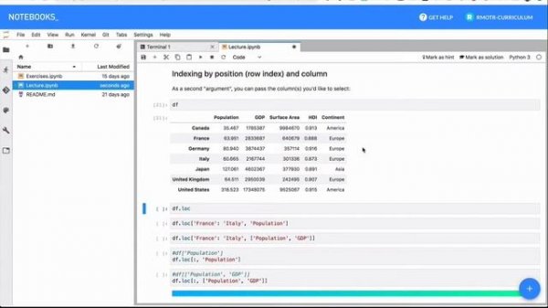 Pandas DataFrames: How to do filtering, selection and indexing | Free Pandas Tutorial
