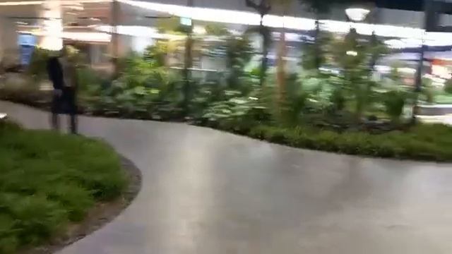Artificial garden inside an airport. Hamad International Airport, Doha, Qatar. смотреть онлайн