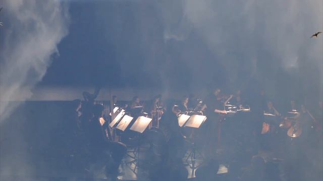 Young Belgian Strings : 