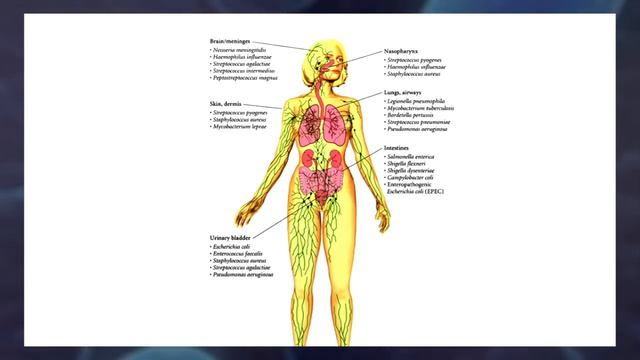 Science Proves We Are All Pig-Pen, Covered in 10,000 Microbes смотреть онлайн