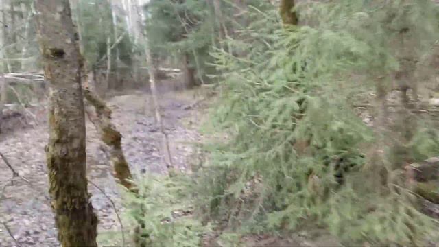 дорога вдоль Щёлковского шоссе, залитая весенней водой смотреть онлайн