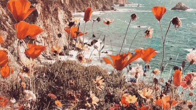 Блок А.А. - О, я хочу безумно жить... смотреть онлайн