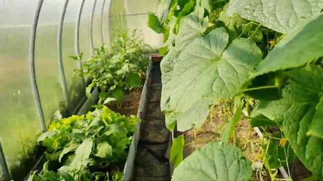 Искусство и Умение