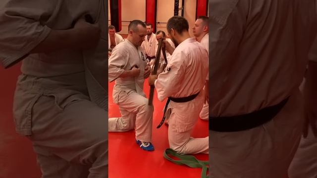 Вчера Сэнсэй повязал мне коричневый пояс по Кудо (разновидность ММА, сочетание Карате и Дзю-до) смотреть онлайн