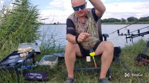 Ловля толстолоба и белого амура