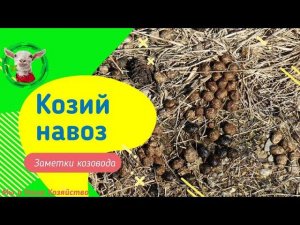 Навоз как удобрение или 100%  успеха