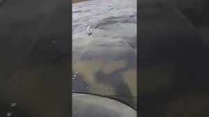 Неман 2 попутная волна