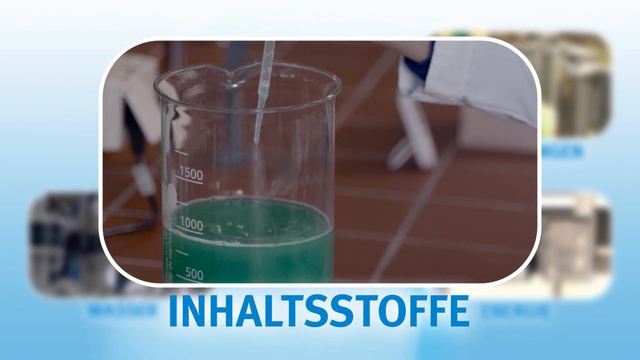 Werner & Mertz: C2C PRODUCTS INNOVATOR AWARD DE* смотреть онлайн