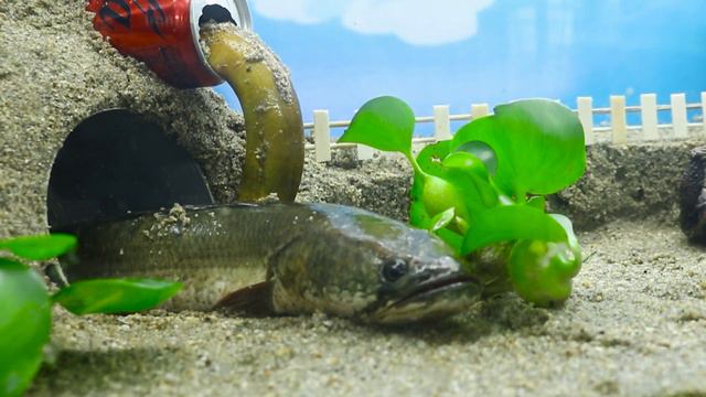 Tsunami Dam Breach Experiment -Kong Stopped Giant Sea Monster Attack Lego City Causing Dam Collapse смотреть онлайн