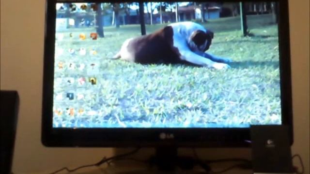 Gtx 460 Ecs Black Edition смотреть онлайн