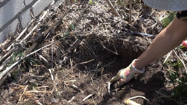 Строительные Мечты