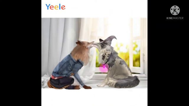 Мини wcmw (читай закрепленый ком) смотреть онлайн