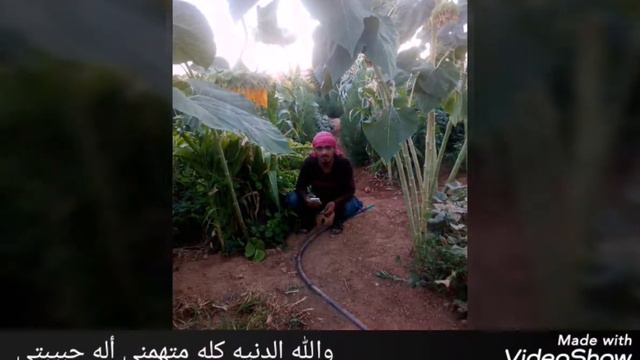أبو أسامه المنبجي смотреть онлайн