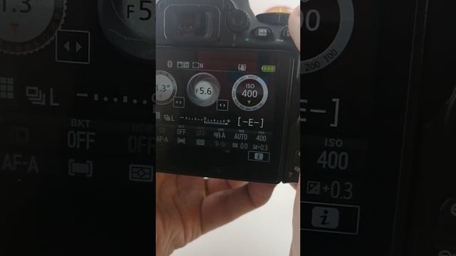 Видеообзор Nikon D5600