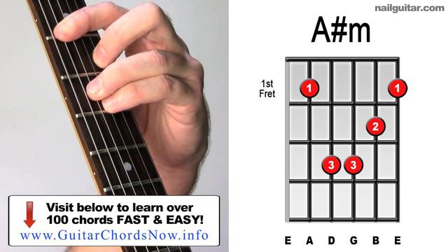 A# minor ♫♬ How To Play Must Learn Pop & Rock Guitar Bar Chords смотреть онлайн