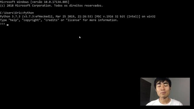 O que é o REPL e como usar - Aprenda Python #2 смотреть онлайн