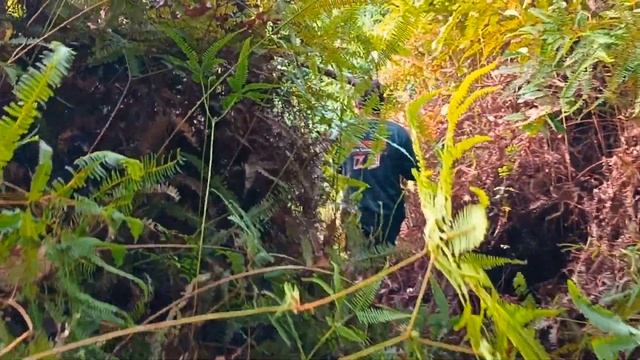 Camping di guyur hujan deras, 3 jam Tersesat di hutan saat melihat tajur di danau angker смотреть онлайн